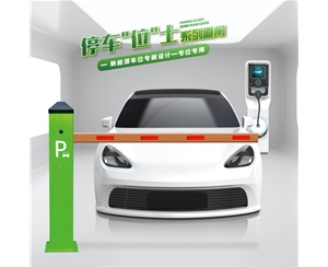 日照RG-CW系列车位小道闸